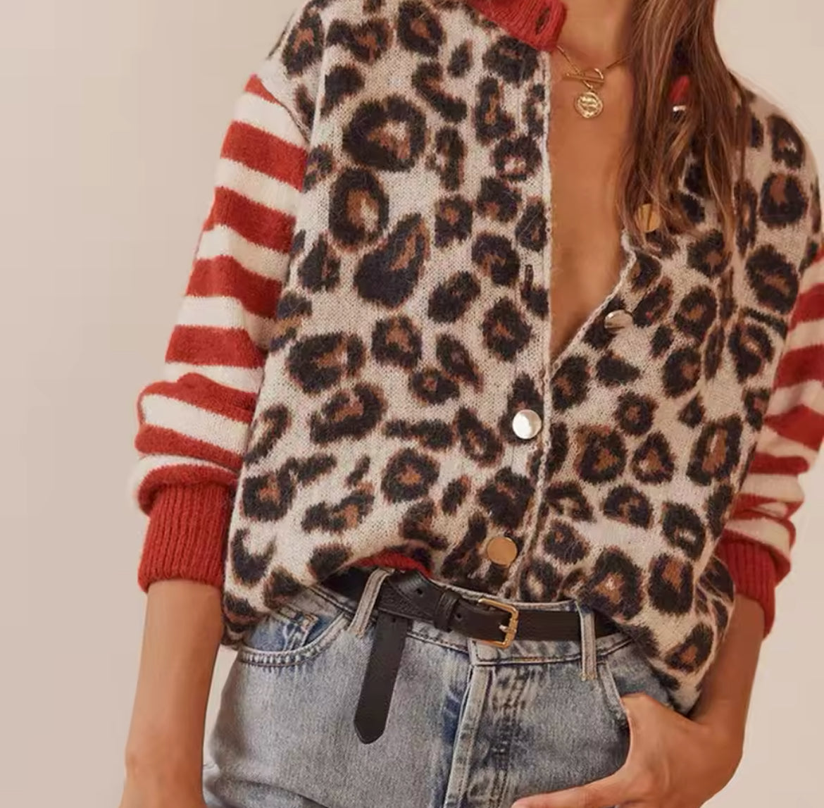 CARDIGAN À IMPRIMÉ LÉOPARD ET RAYURES