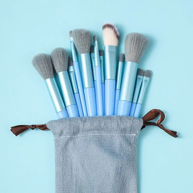Set of 13 Professional Makeup Brushes