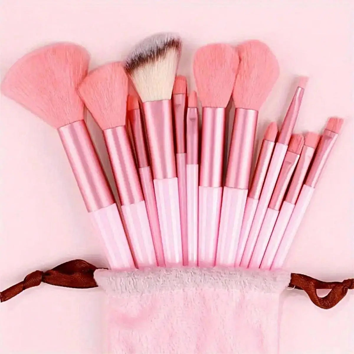 Set of 13 Professional Makeup Brushes